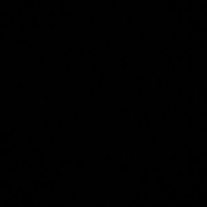 Meet your Posher, Sofia